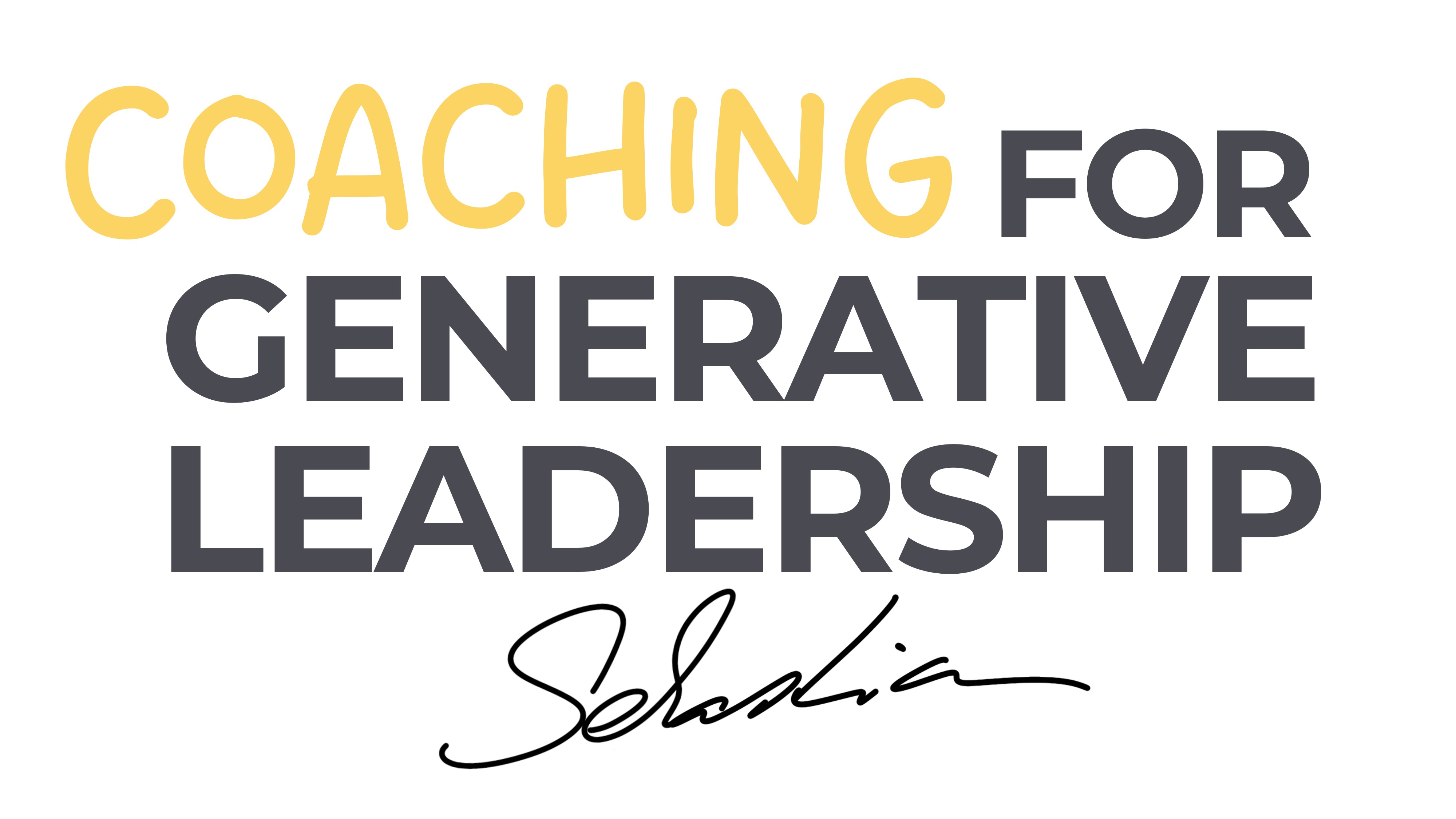Sebastian Schick Coaching for Generative Leadership